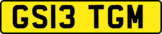 GS13TGM