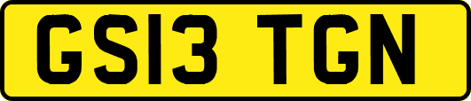 GS13TGN