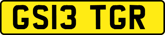 GS13TGR