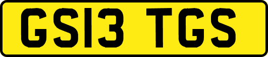 GS13TGS