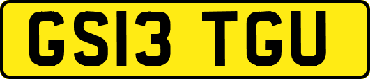 GS13TGU
