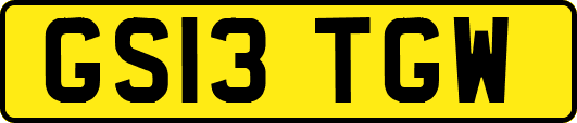 GS13TGW