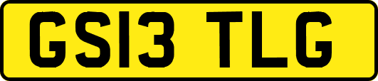 GS13TLG