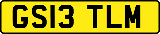 GS13TLM
