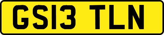 GS13TLN