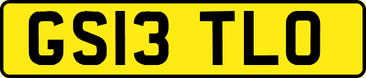 GS13TLO