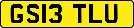 GS13TLU