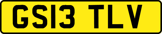 GS13TLV