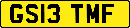 GS13TMF