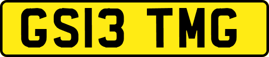 GS13TMG