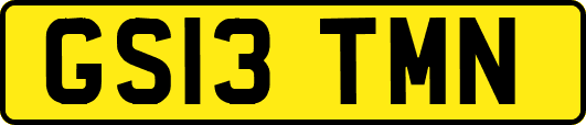 GS13TMN