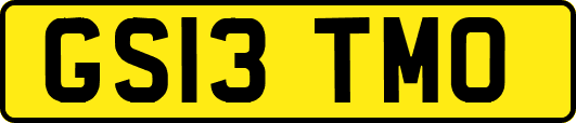 GS13TMO
