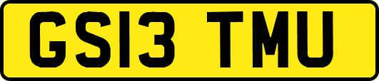 GS13TMU