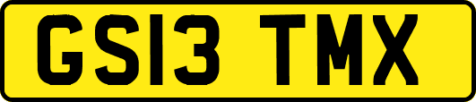 GS13TMX