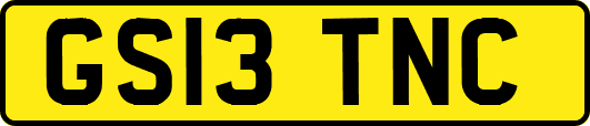 GS13TNC