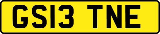 GS13TNE