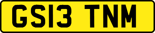 GS13TNM
