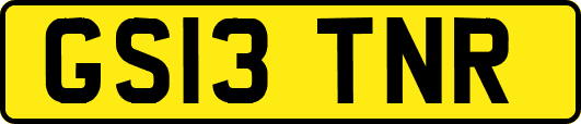 GS13TNR