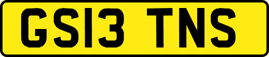GS13TNS