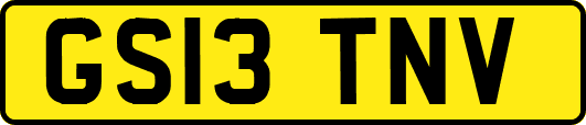 GS13TNV