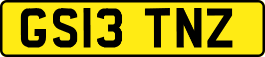 GS13TNZ