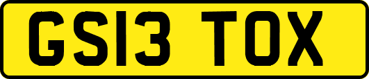 GS13TOX
