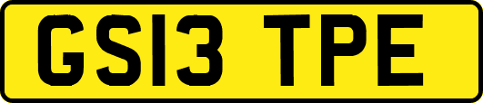 GS13TPE