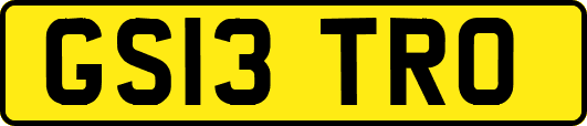 GS13TRO