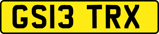 GS13TRX