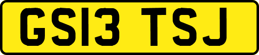 GS13TSJ