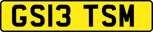 GS13TSM