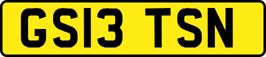 GS13TSN
