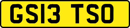 GS13TSO