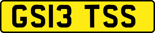 GS13TSS