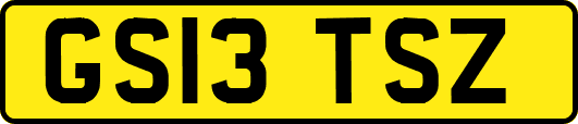 GS13TSZ