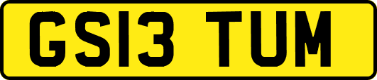 GS13TUM