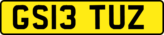 GS13TUZ