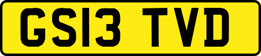 GS13TVD