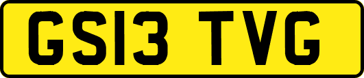 GS13TVG
