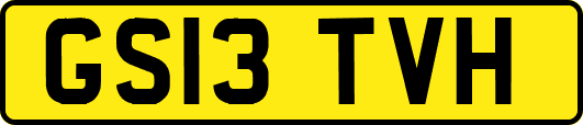GS13TVH