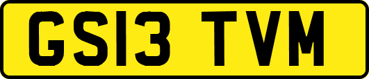 GS13TVM