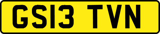 GS13TVN