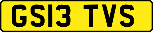 GS13TVS