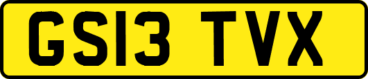 GS13TVX