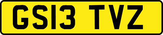 GS13TVZ