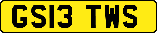 GS13TWS