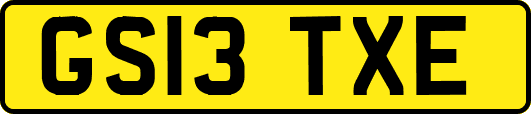 GS13TXE