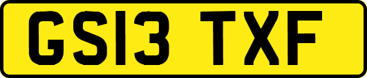 GS13TXF