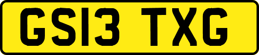 GS13TXG