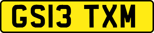 GS13TXM
